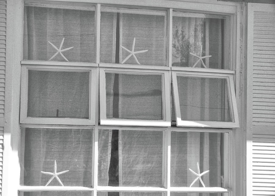 Starfish Windows Photograph by JAMART Photography