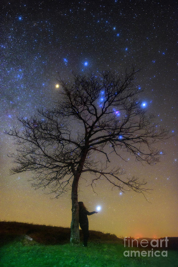Stargazing Holding Sirius Photograph by Miguel Claro/science Photo Library
