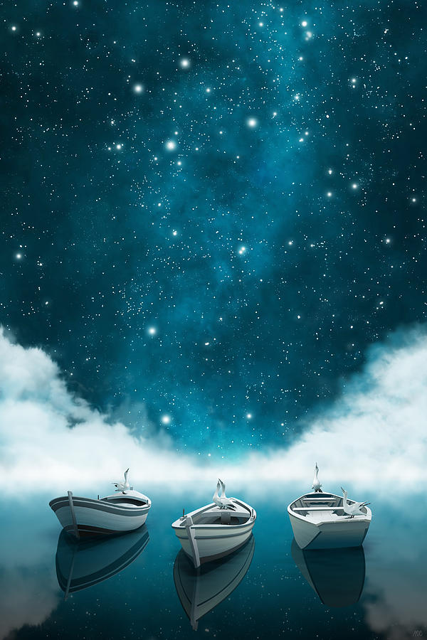 Stargazing - The Southern Cross by Moira Risen Stargazing - The Southern Cross by Moira Risen