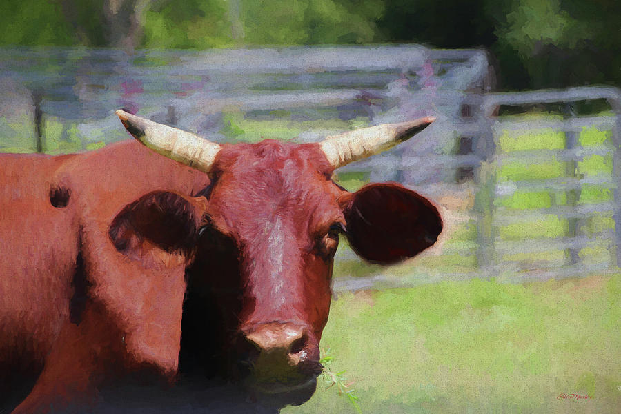 Staring Steer 1390 - Painted by Ericamaxine Price Staring Steer 1390 - Painted by Ericamaxine Price