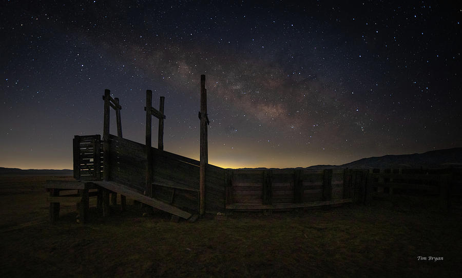 Landscape Photograph - Starlight over Carrizo Plains by Tim Bryan