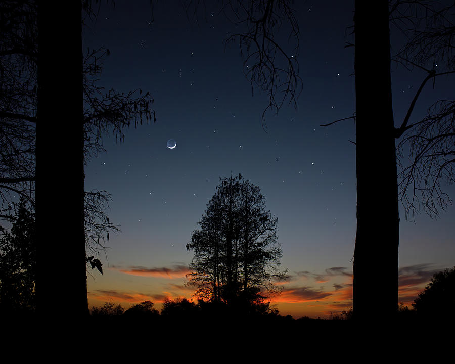 Starlight Trail Photograph by Mark Andrew Thomas