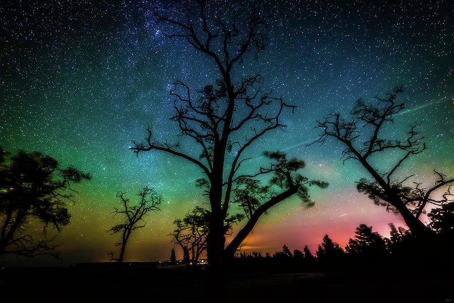 Starry Aurora Sky Photograph by Owen Weber