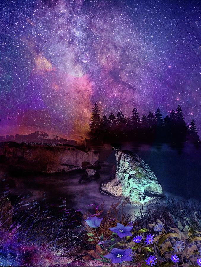 Starry Night Photograph