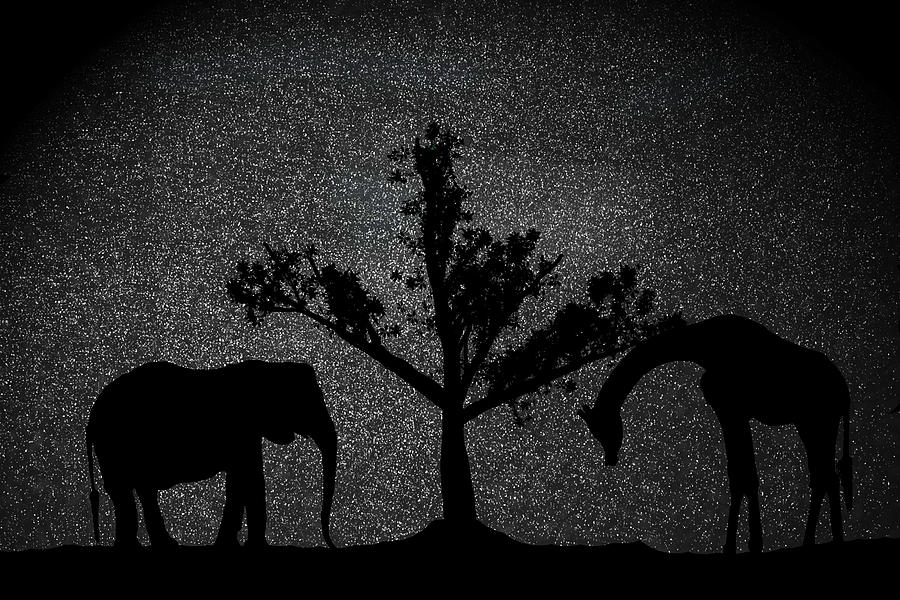 Animal Digital Art - Starry Night by Cathy Harper