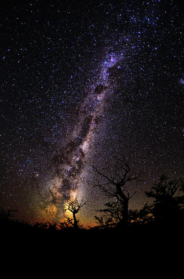 Starry Night Milky Way Patagonia Photograph By Max Seigal Fine Art