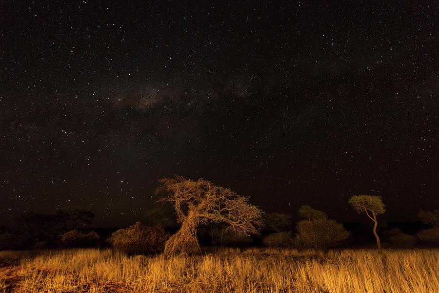 Starry Night Over The Kalahari, Namibia Photograph by Siegfried Layda