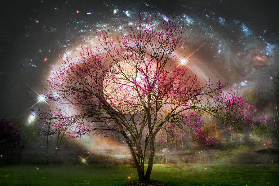 Starry Spring Night Digital Art by Debra and Dave Vanderlaan