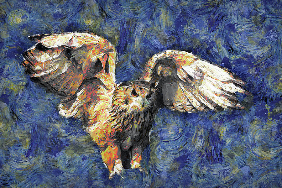 Starry Starry Night Owl Digital Art