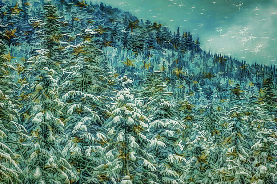 Nature Digital Art - Starry Valley by Jean OKeeffe Macro Abundance Art