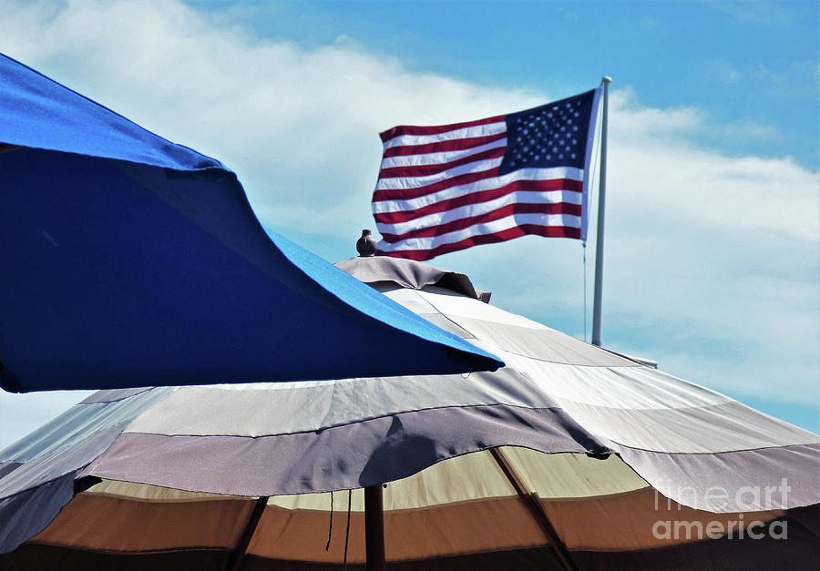 Stars and Stripes and Umbrellas Photograph by Sharon Williams Eng