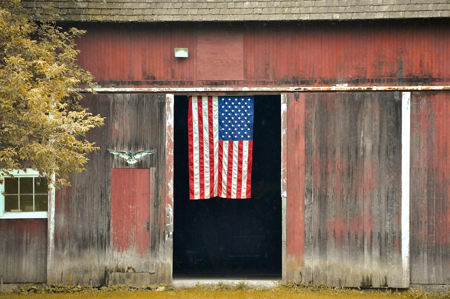 Stars And Stripes Photograph by Dressage Design