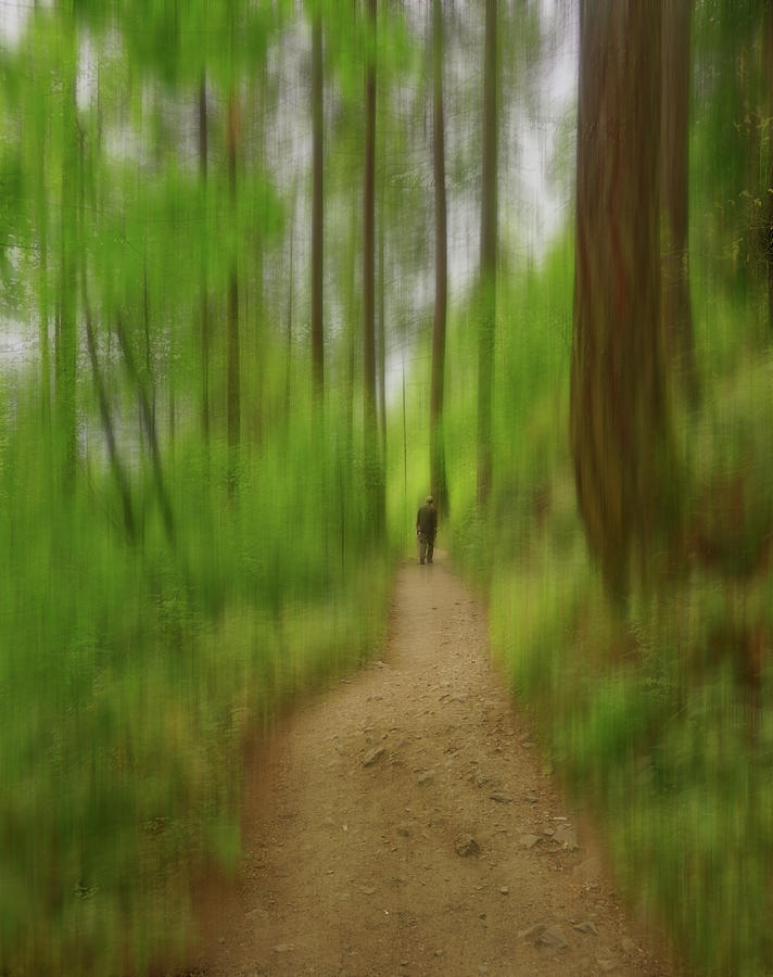 Start walking to find your way by Silvia Marcoschamer Start walking to find your way by Silvia Marcoschamer