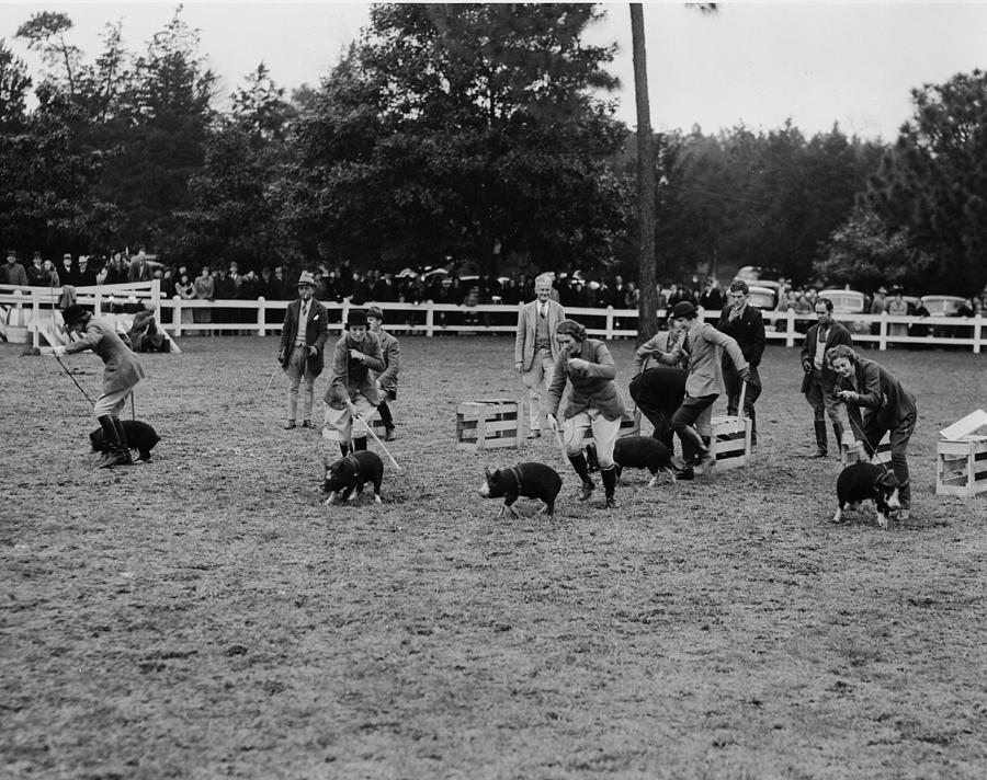 Starting Line At The Porker Derby At Photograph by Bert Morgan