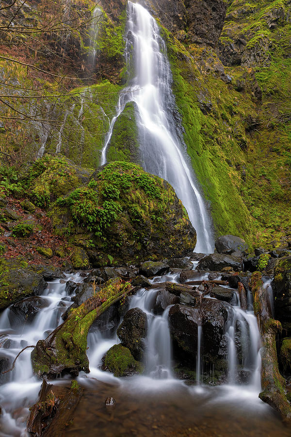 Starvation Creek Falls in Oregon by David Gn Starvation Creek Falls in Oregon by David Gn