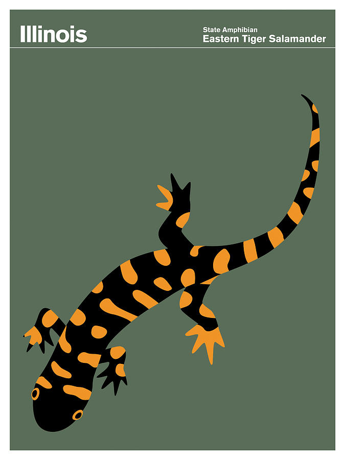 Salamander Digital Art - State Posters Il by Print Collection - Artist