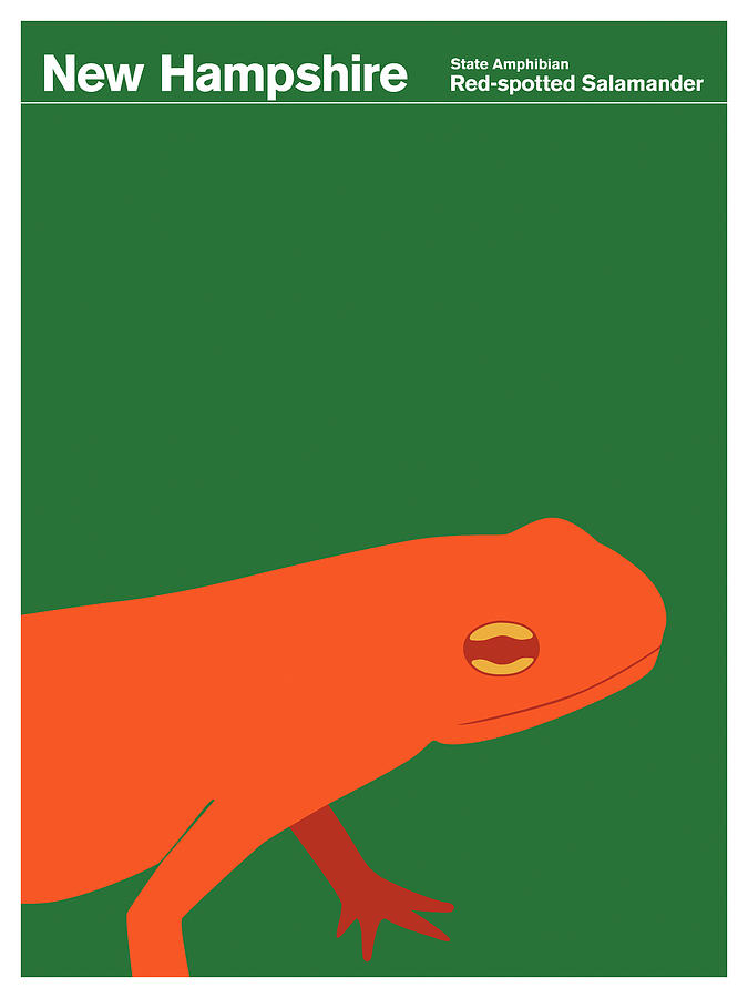 Salamander Digital Art - State Posters Nh by Print Collection - Artist