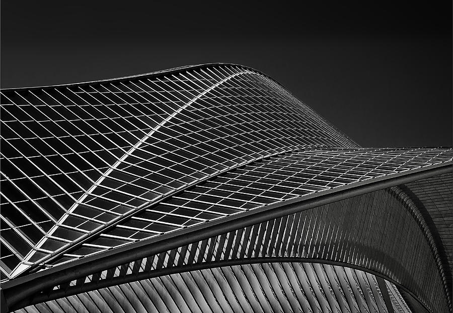 Black And White Photograph - Stationlines by Henk Van Maastricht