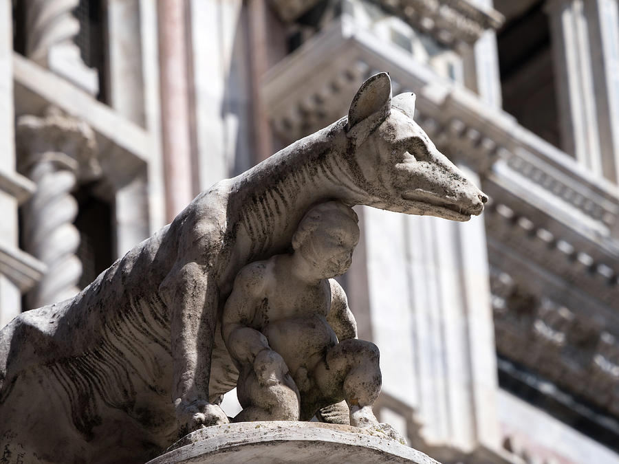 Statue of the Capitoline Wolf in fr Photograph by Tosca Weijers