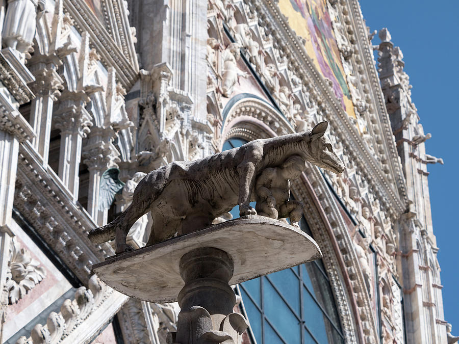 Statue of the Capitoline Wolf in front of Siena cathedral Photograph by Tosca Weijers