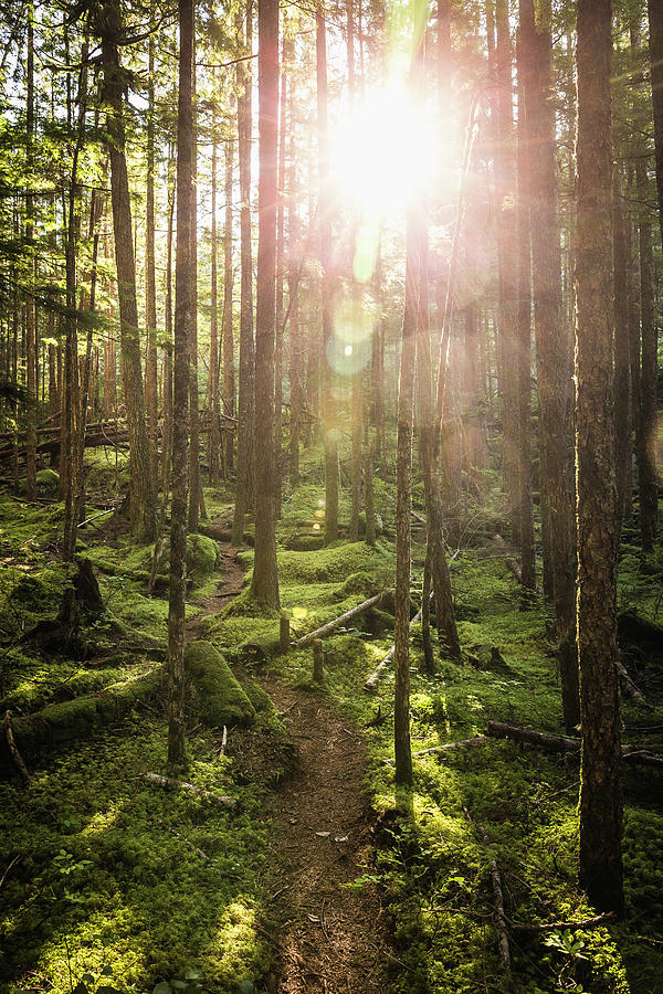 Stawamus Chief Provincial Park, Squamish, British Columbia, Canada ...