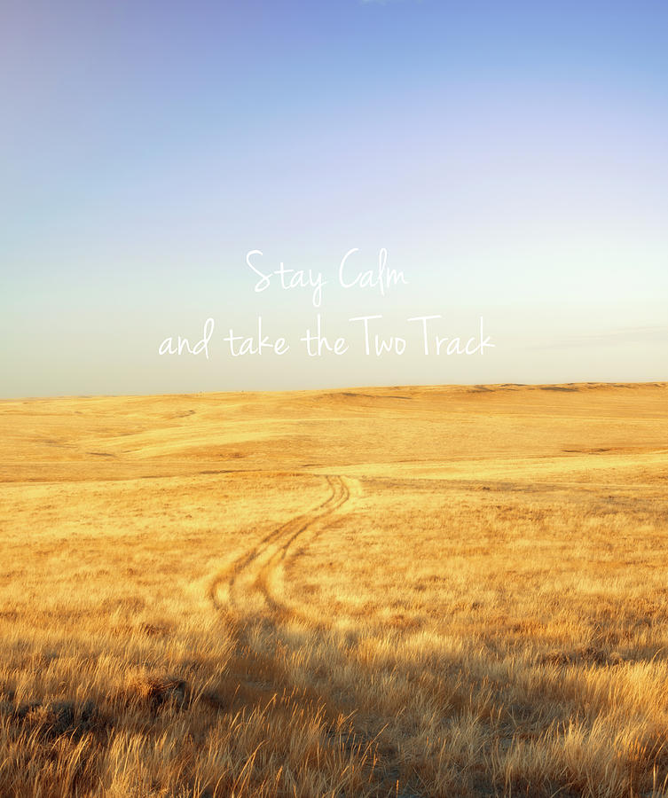 Stay Calm And Take The Two Track Photograph by Amanda Smith | Fine Art ...