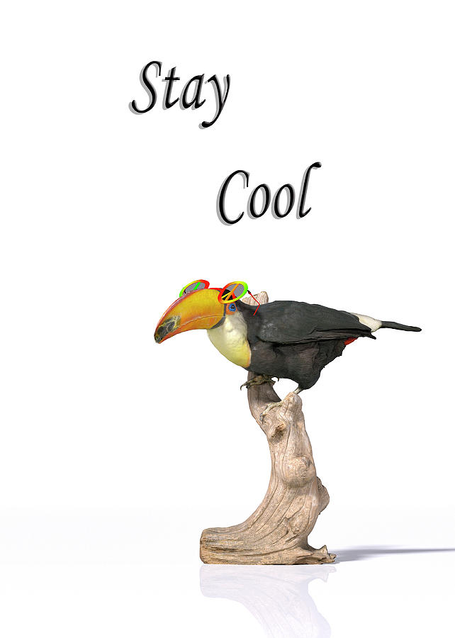 Stay Cool Tucan Digital Art