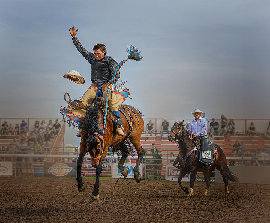 Rodeo Photograph - Stay On by Molly Fu