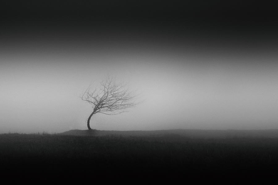 Black And White Photograph - Steadiness by Gabriel Bistriceanu