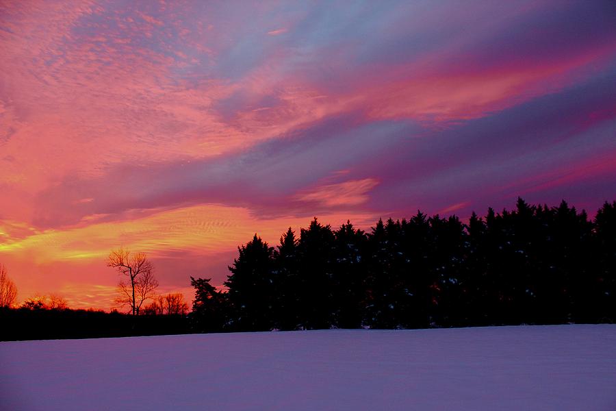 Steal My Heart Sunrise After Snow Photograph by M E