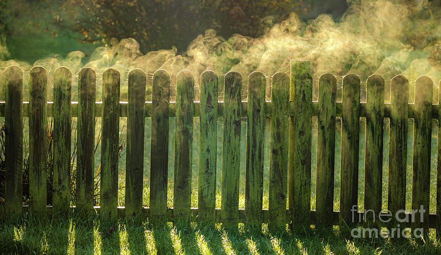Steam Rising From Fence In The Sun Photograph by Ian Gowland/science Photo Library