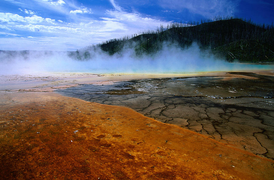 Steam Rising From Grand Prismatic Photograph by John Elk Iii