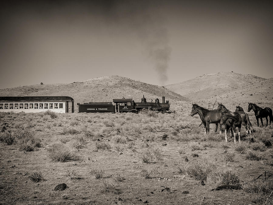 Steam Train and Wild Horses Photograph by Martin Gollery