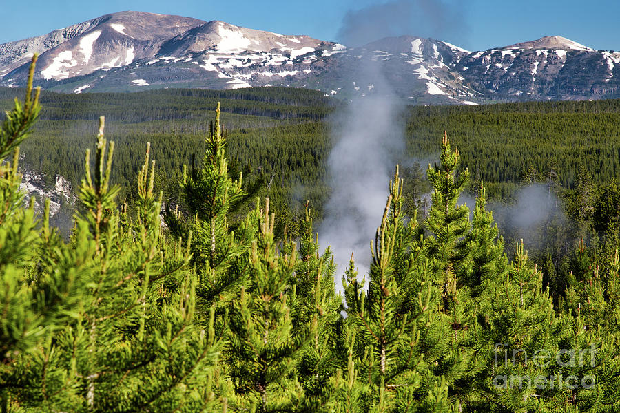 Steam by Vincent Bonafede Steam by Vincent Bonafede