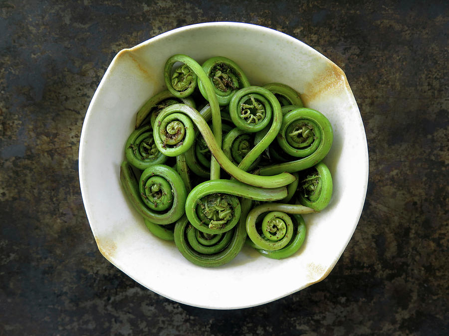 Steamed Fiddleheads Photograph by Emily Brooke Sandor