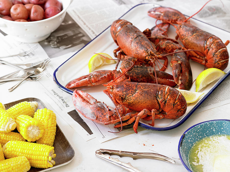 Steamed Lobsters With Sweet Corn And Red Potatoes Photograph by Michael Kraus