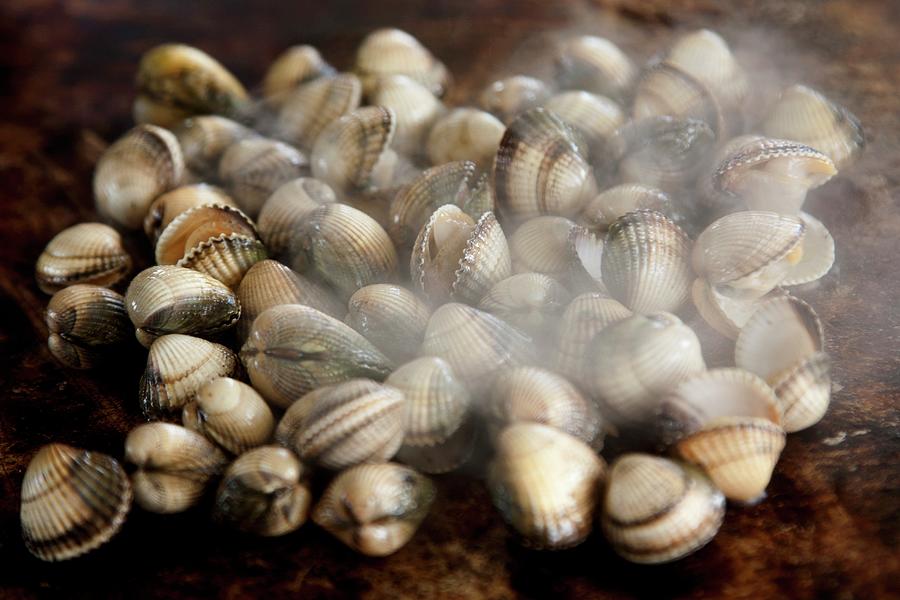 Steaming Grilled Cockles Photograph by Michael Van Emde Boas
