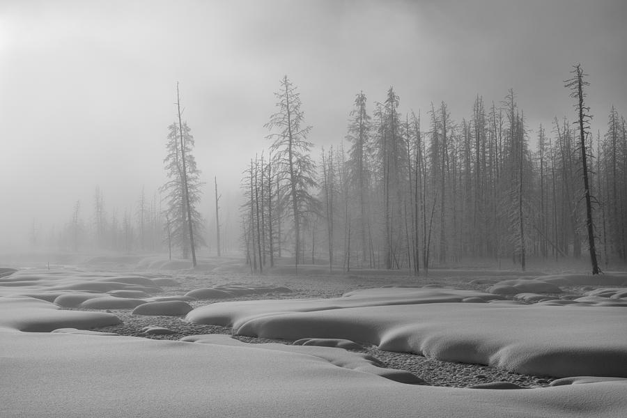 Yellowstone National Park Photograph - Steamy Morning by Susanne Landolt