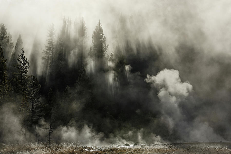 Steamy Transition Photograph by Ann Skelton
