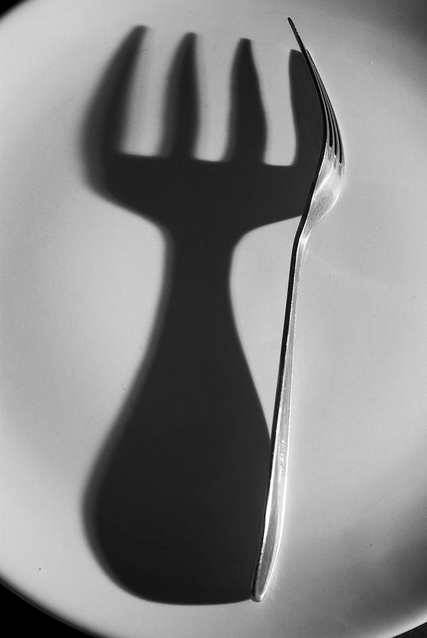 Steel Fork And Its Shadow On Plate Photograph by Neus Pastor