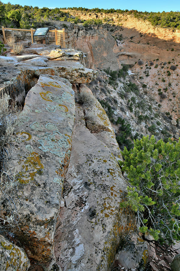 Steep Canyon beneath Overlook along Rim Rock Drive Photograph by Ray Mathis