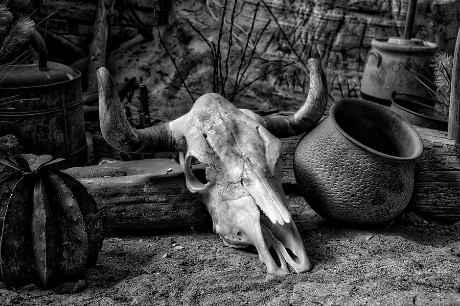 Wildlife Photograph - Steer Head Moqui Cave Museum Kanab Utah BW by Thomas Woolworth