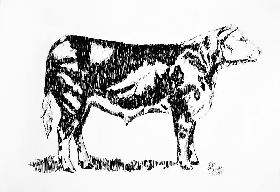 Top How To Draw A Steer of all time Check it out now