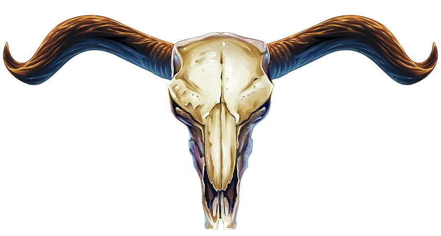 Bull Digital Art - Steer Skull 02 by Flyland Designs