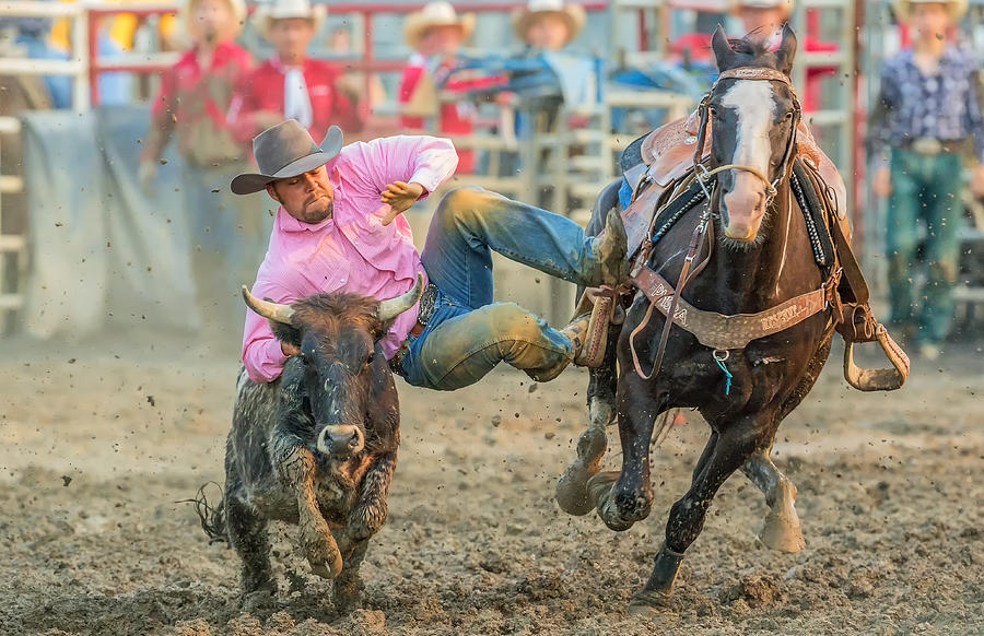 Steer Wrestling Photograph by David Hua