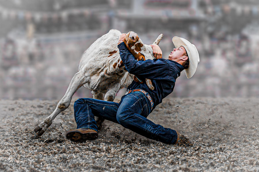 Steer Wrestling Photograph by Frank Ma