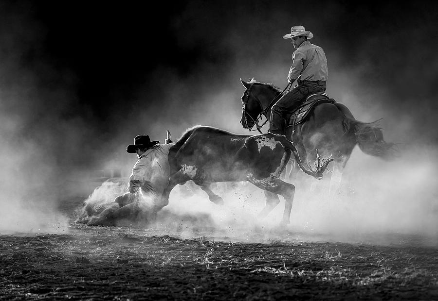 Steer Wrestling In The Light Photograph by Frank Ma - Fine Art America