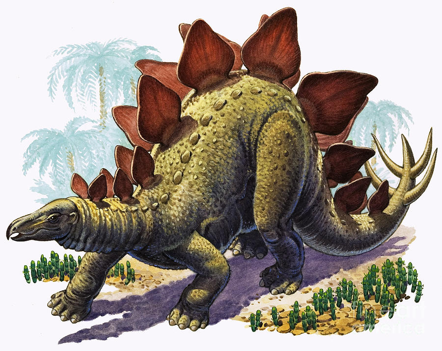 Prehistoric Painting - Stegosaurus by English Photographer