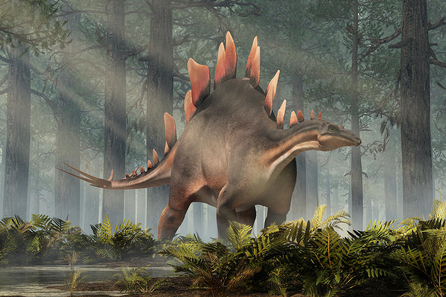 Stegosaurus in a Forest Digital Art by Daniel Eskridge