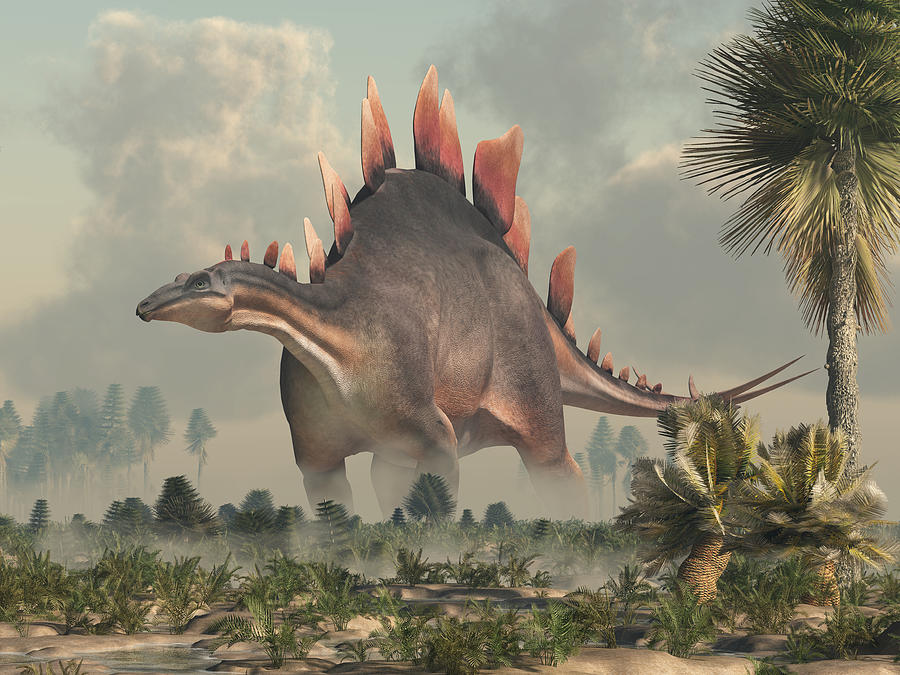 Stegosaurus in a Wetland Digital Art by Daniel Eskridge